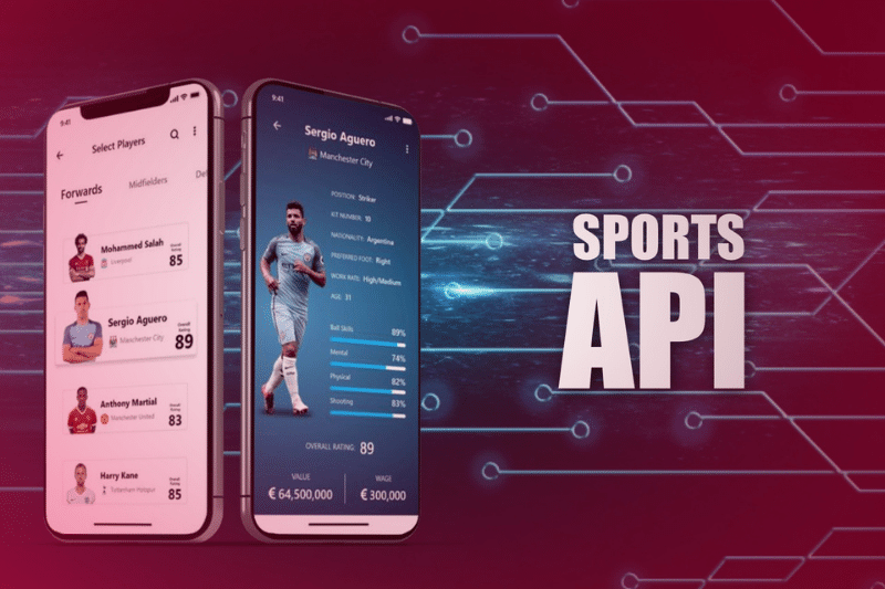 Sports APIsThe real drivers of Fantasy sports leagues