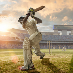 Data-driven cricket insights