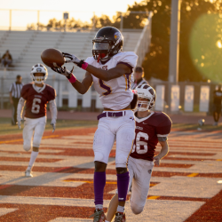 Football API For Developers