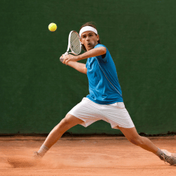 Sports widgets for websites