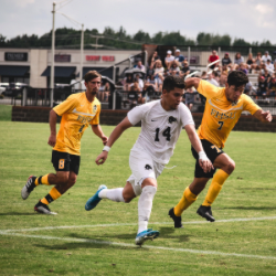 Sports_Data_Solutions