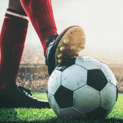 sports data feed provider 