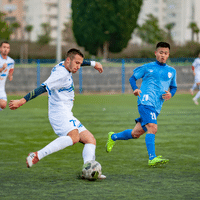 Live Sports Data Api