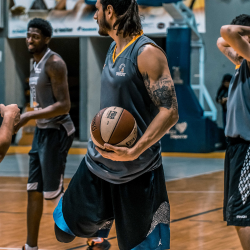 Live sports data providers