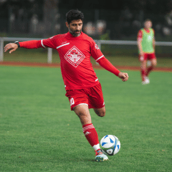 live sports stats api 