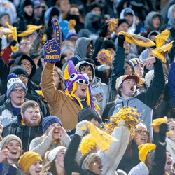 data analytics provider